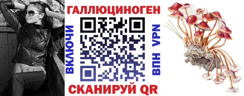Псилоцибиновые грибы Magic Shrooms  Мосальск 